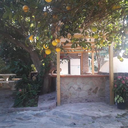 Finca Los Aguacates Trapiche  Eksteriør billede